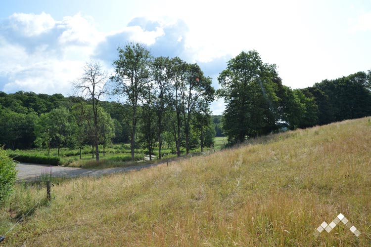 LE MANOIR DES ETANGS (28 pers.)-30